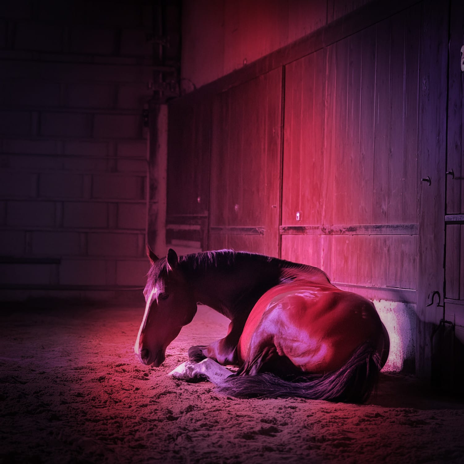 Equilume stable light product design manufacturing compliance 1